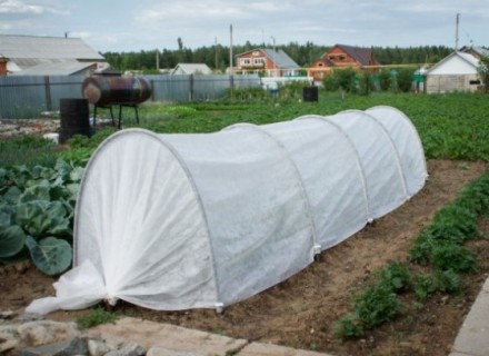 Парник "Подснежник" (6 метров)