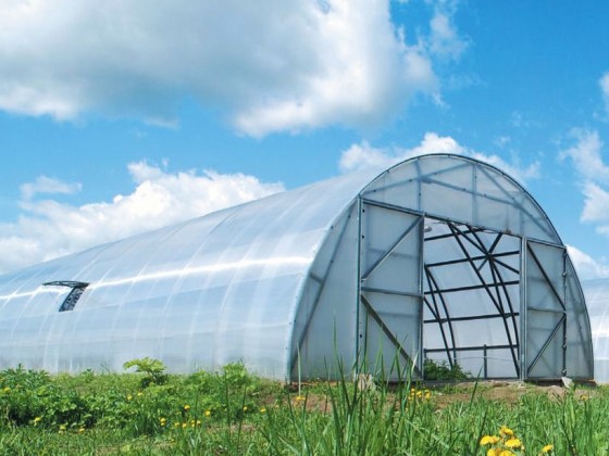 Фермерская теплица (ширина 7,5 метров) 