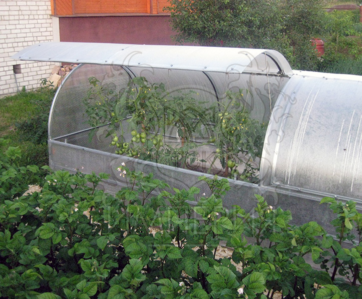 парник, парник из сотового поликарбоната, сотовый поликарбонат, парник из поликарбоната